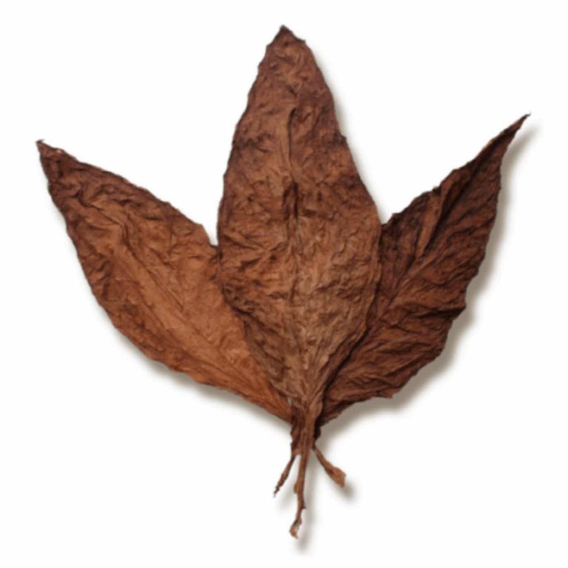 Grabba Leaf 1/3