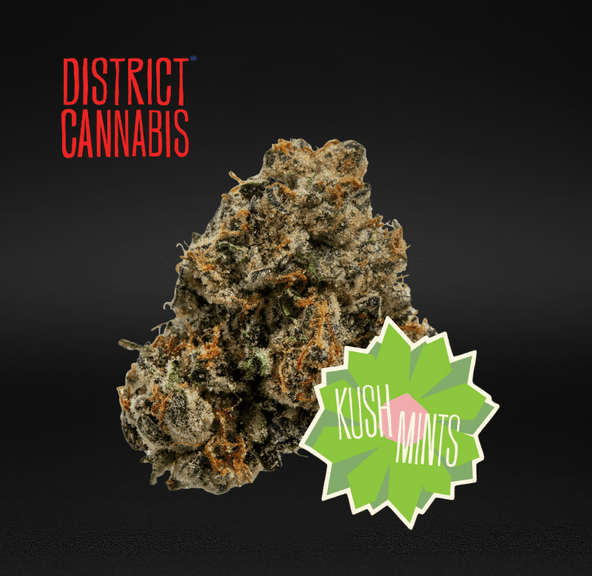 District Cannabis | Kush Mints - Flower | 3.5g | Hybrid
