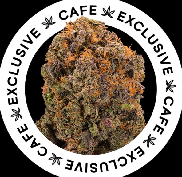 7G CAFE EXCLUSIVES- PINK LUNA