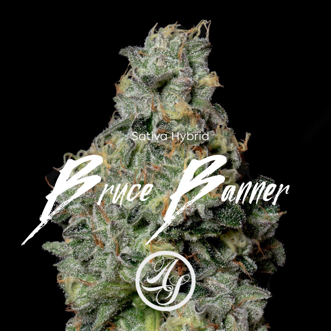 Alt Sol | Bruce Banner - Flower | 14g | Hybrid