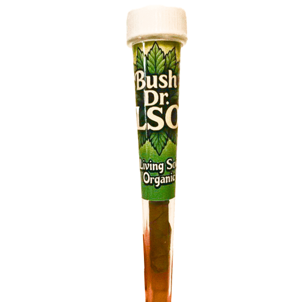 Bush Dr. LSO Infused Blunt - Gas