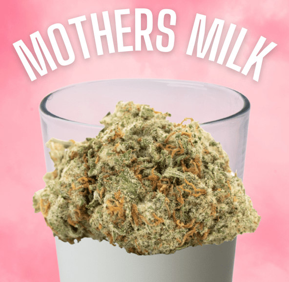 DAZE - Mother's Milk (14g)