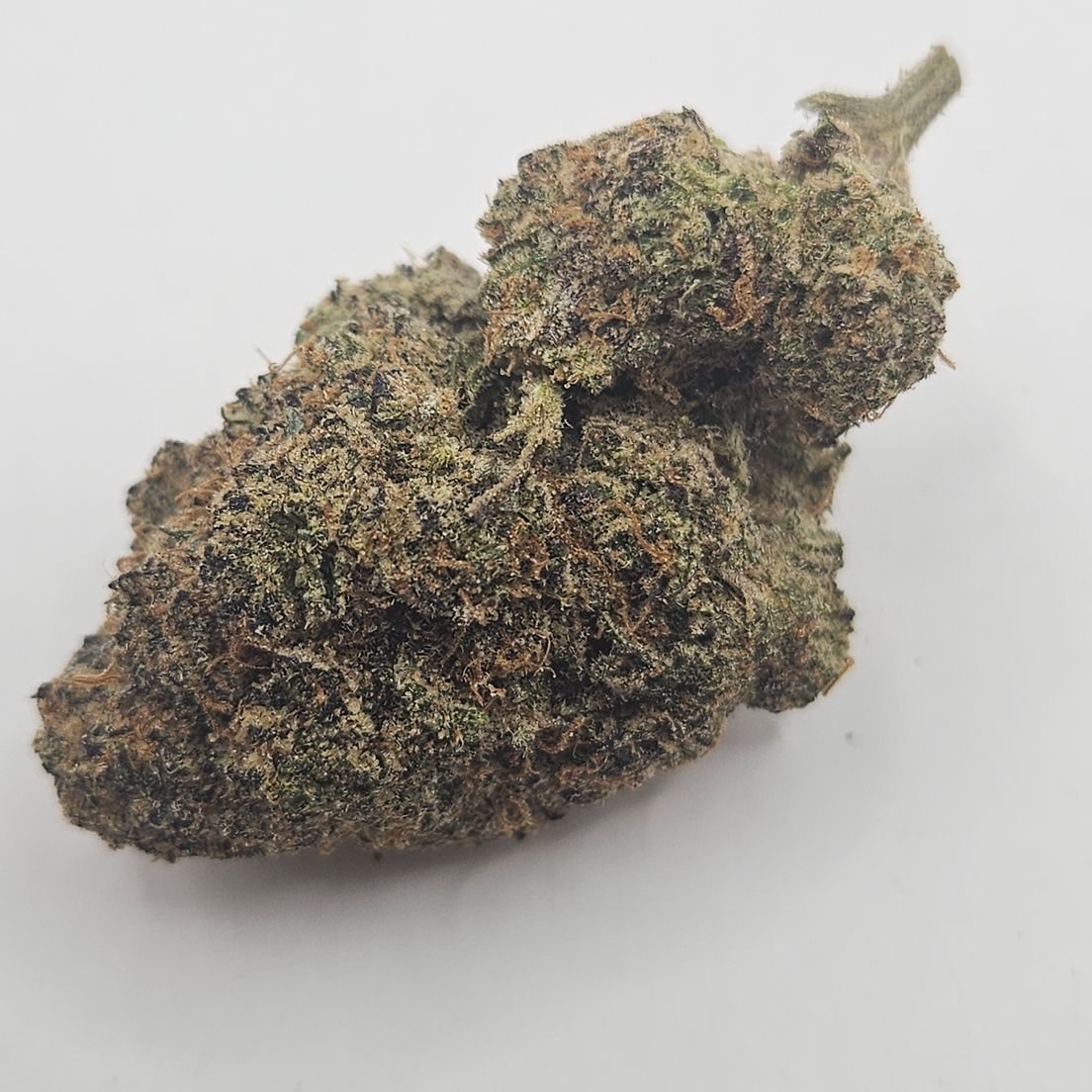 *Indoor - Galaxy - 25% - IDH