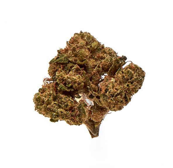 Space Jawcrushers 14g