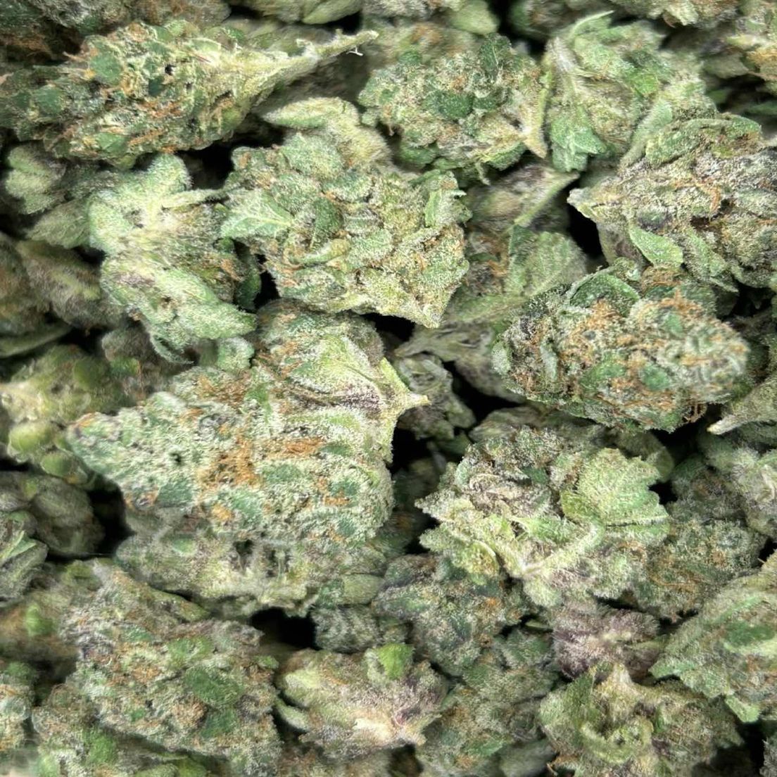 87 Lime Pop Flower