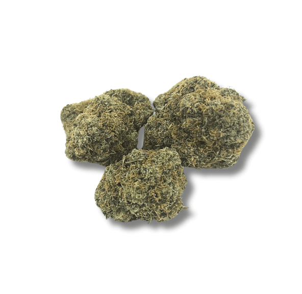 Biscotti X Jet Fuel OG