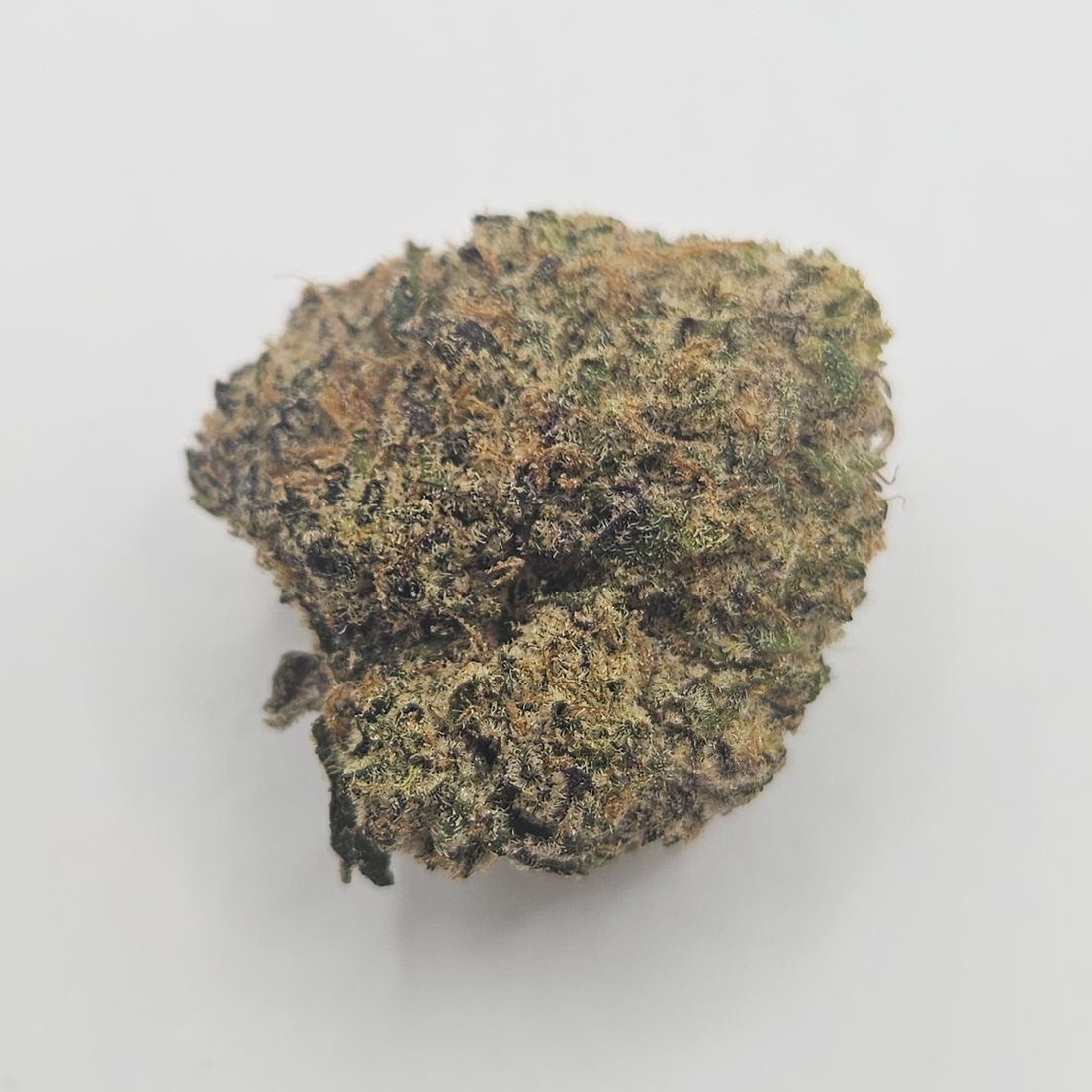 *Indoor - N9 - 25% - SDH