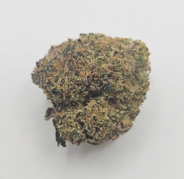 *Indoor - N9 - 25% - SDH