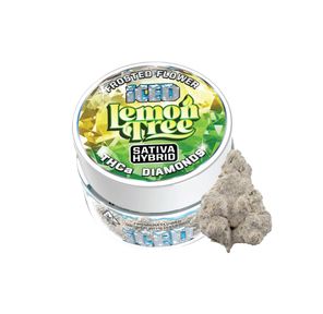 Jarred Infused Flower - Lemon Tree 3.50 g