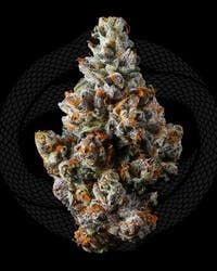 Connected - Nightshade (3.5g)