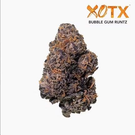 XOTX | Bubble Gum Runtz | 3.5g | H(I)