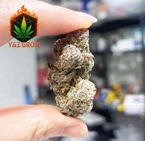 ? Slurricane (Indica 60%) - Premium