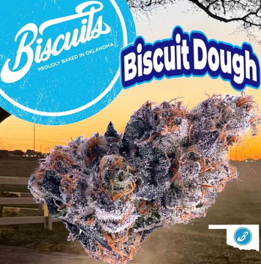 Biscuit Dough