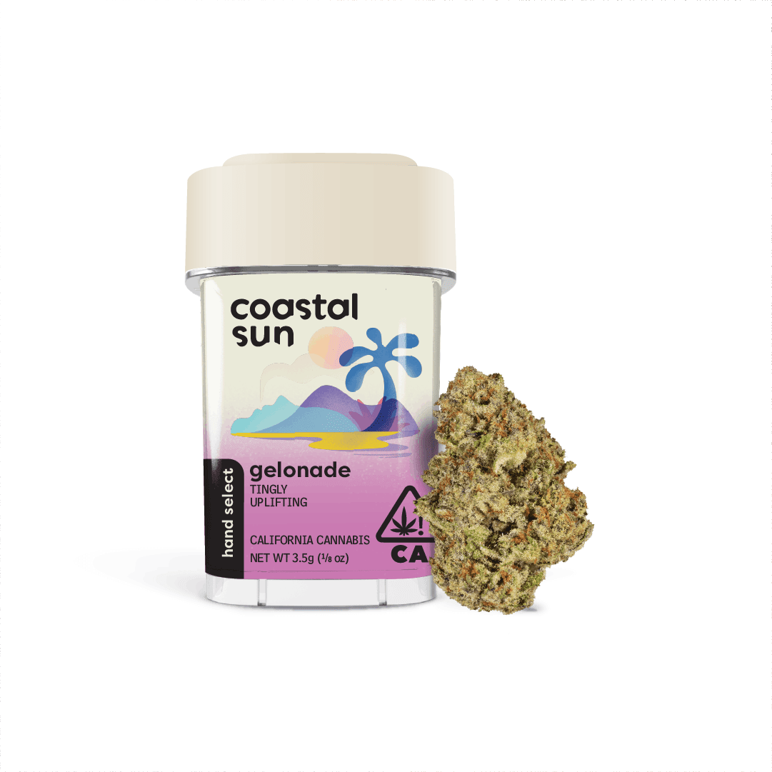 Coastal Sun Flower 3.5g - Gelonade 27%