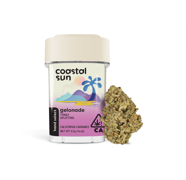 Coastal Sun Flower 3.5g - Gelonade 27%