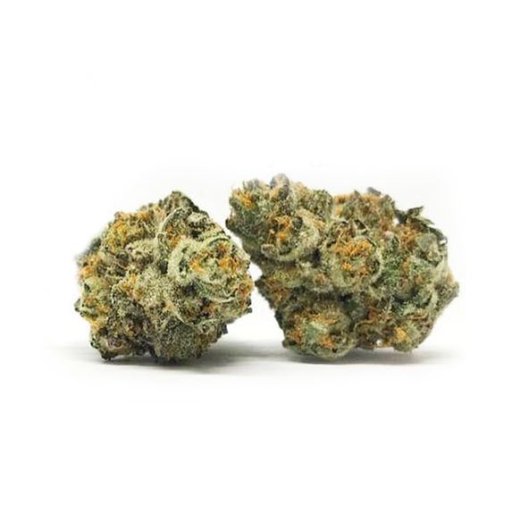 Biscotti Smalls - Green