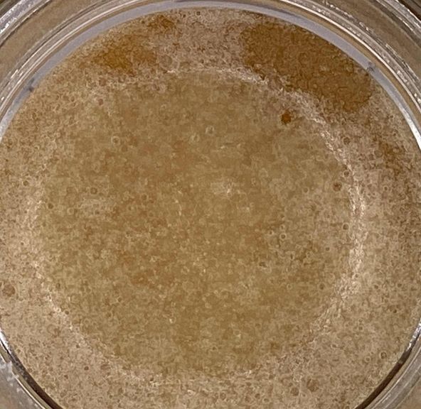 High Expectations - Dabs - Creme Brulee - 1G