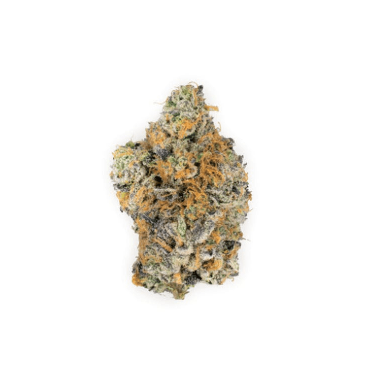 Zookies