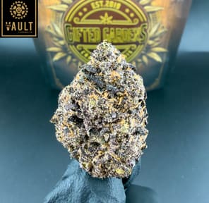 7G -GIFTED GARDENS | DESIGNER MARKER (AAAA+)