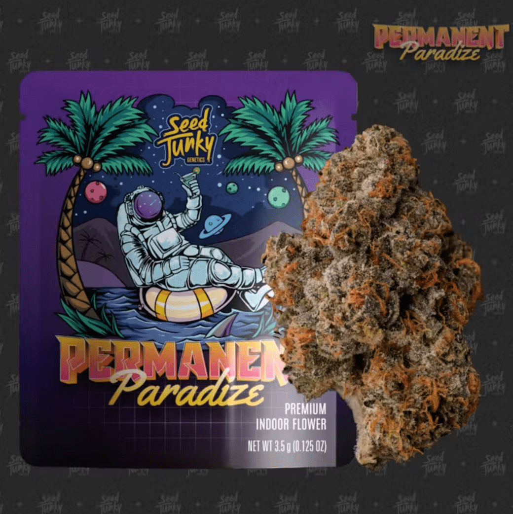 Permanent Paradize