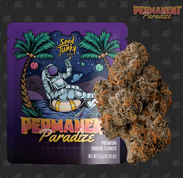 Permanent Paradize