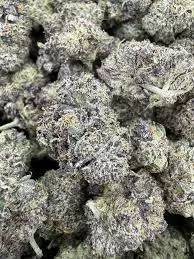 Seed Junky