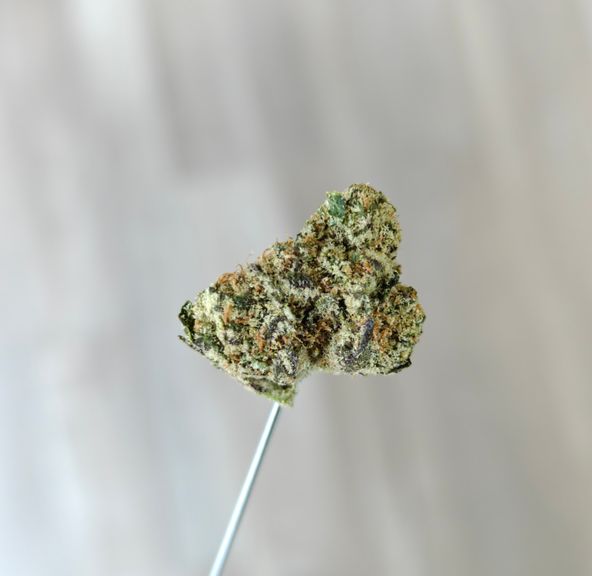 Royal Kush