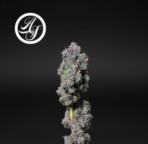 Alt Sol | Fuel Biscuits - Flower | 3.5g | Indica-Hybrid