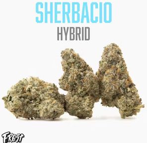 Sherbacio 3.5g Indoor 3.50 g