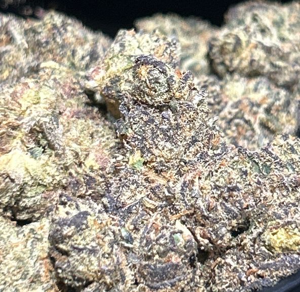 Granddaddy Purple Flower