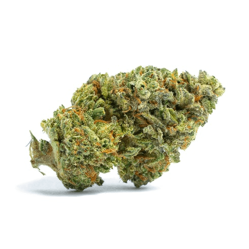 Dosilato - Exotics
