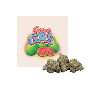 ALL SEASONS 3.5G- GUAVA GAS