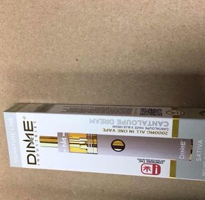 Cantaloupe Dream Dime Disposable 2g