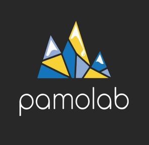 24K GOLD Pamilab 2g Black Box Live Resin Disposable Cart