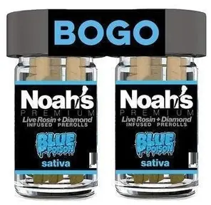 * Noahs Premium Blue Posion 2 pack