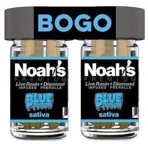 * Noahs Premium Blue Posion 2 pack