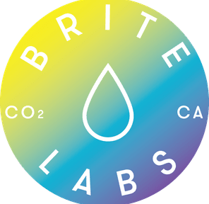 Brite Labs - |ERA| PAX (0.5 g) Pod - H - Motorbreath