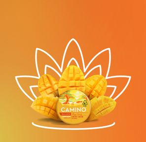 Kiva - Mango Serenity Camino Gummies (100mg THC/100mg CBD)
