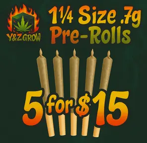 1¼ Size .7g Pre-Roll: Blackberry Kush (Indica) 5 Pack