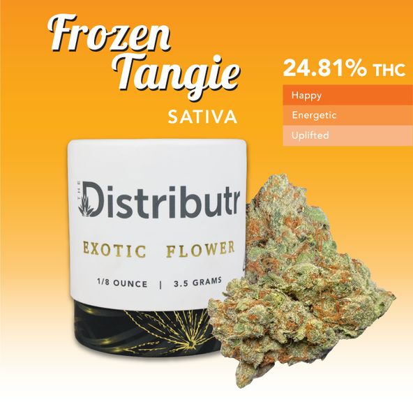 Frozen Tangie by The Distributr