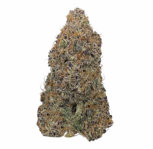 GMO $100 oz