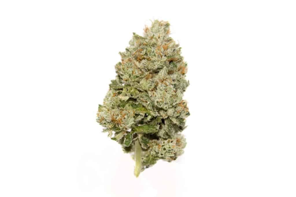 Berry Zkittlez