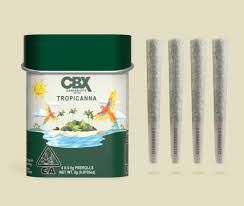 [Cannabiotix] Preroll 4 Pack - 2G - Tropicanna (S)