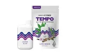 TEMPO - Super Glue - Live Resin AIO - 1G