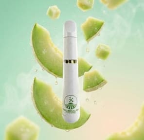 Disposable- Peaches & Cream 1g