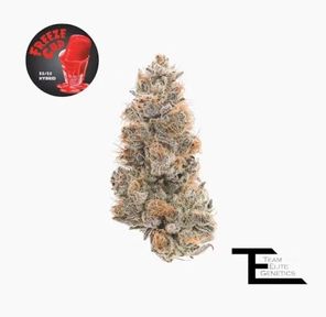 Team Elite Genetics- Freeze Cup Smalls 14g (H)