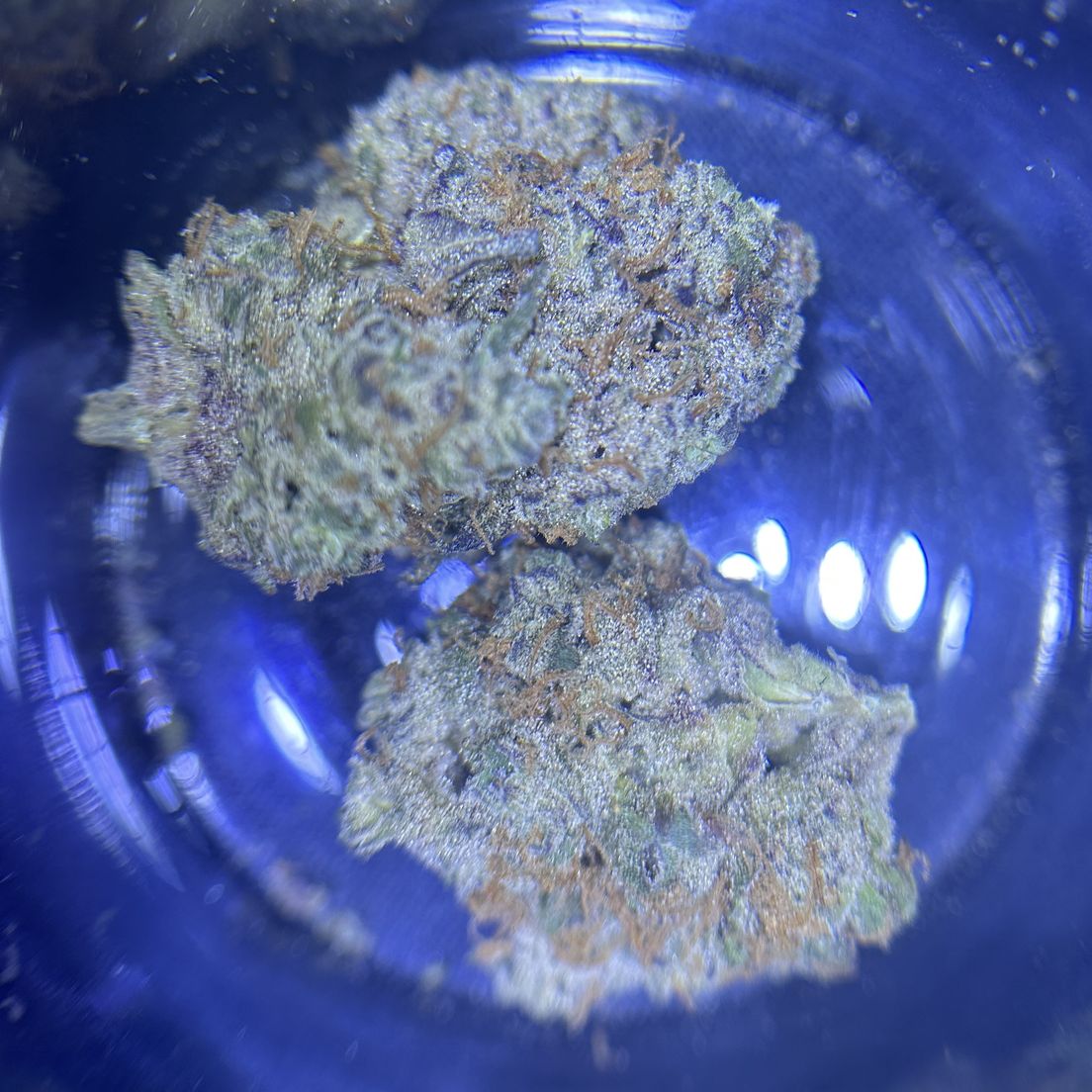 Death Breath