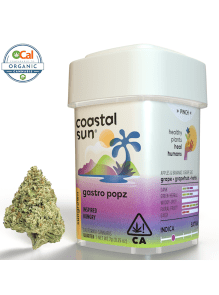 Coastal Sun - Grape Gas - 7g