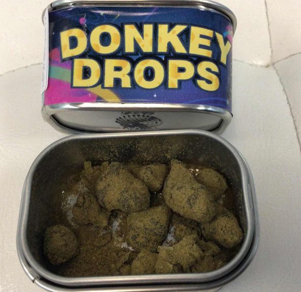 Donkey Drop 3.5