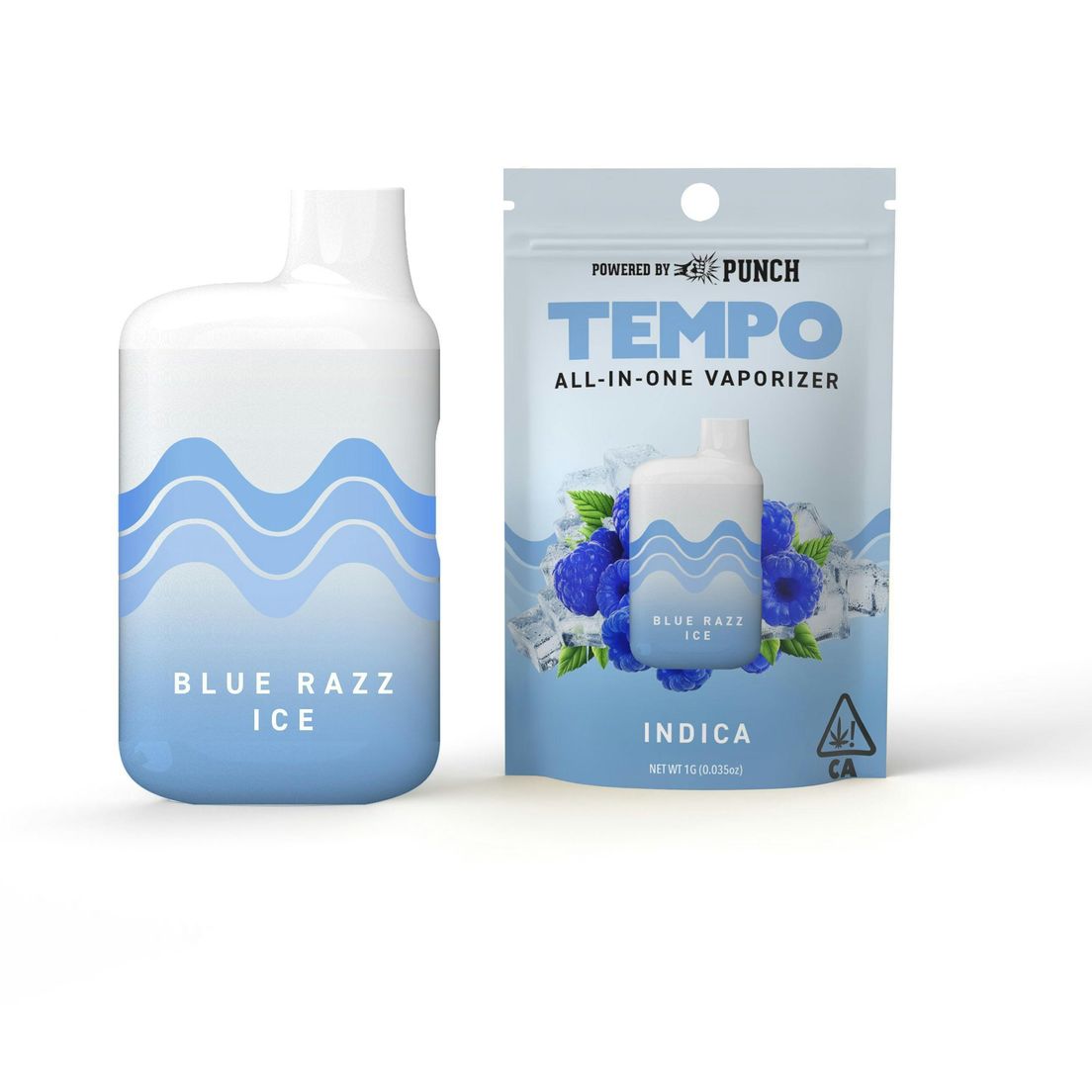 Tempo - Blue Razz Ice AIO Vape 1g